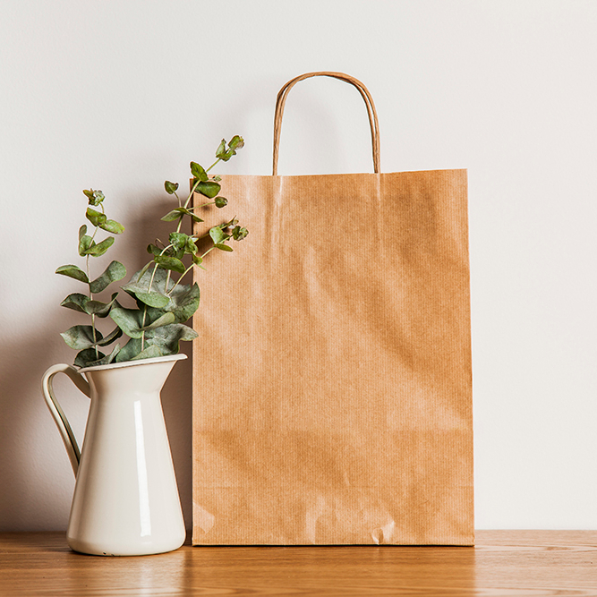 paper-bag-plant